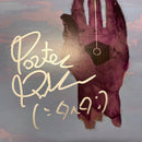 Porter Robinson Signed Divinity Sad Machine Framed Vinyl PSA Album Auth