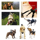 Dog Harness Chest Strap Camera Accessory For Dualuse Back On Chest