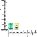 2.75 Carat Genuine Ethiopian Emerald 14K Yellow Gold Earrings