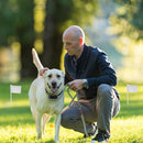 GBruno Electric Dog Fence System