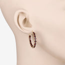 6.00 Carat Genuine Garnet .925 Sterling Silver Earrings