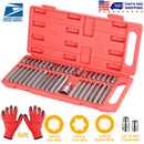 40Pcs Socket Bit Set Hex Torx Spine CRV Combination Bits w/ 3/8"1/2" Drive Free Gloves Case