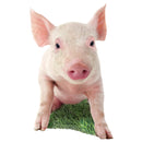 Pig 100 Piece Shaped Jigsaw Puzzle