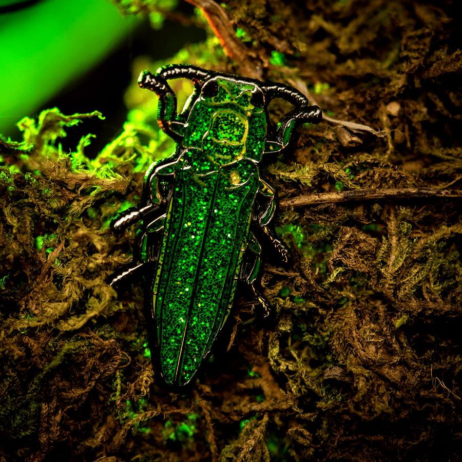 Emerald Ash Borer Enamel Pin