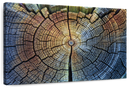 Tree Trunk Pattern Wall Art