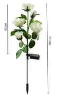 Magic Hue Solar Rose Lights