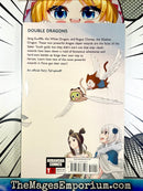 Fairy Tail Twin Dragons of Saber Tooth Vol 1