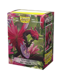 Dragon Shield: Standard 100ct Art Sleeves - Sahar
