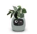 Smart AI Planter with Expressions and Sensors