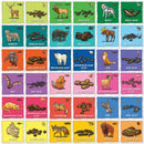 Jr. Ranger - Animal Poop Matching Game