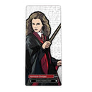 FiGPiN Enamel Pin - Harry Potter - Select Figure(s)