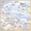 Wood Fun Facts - Undersea Friends 48 Piece Wood Jigsaw Puzzle