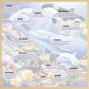 Wood Fun Facts - Undersea Friends 48 Piece Wood Jigsaw Puzzle