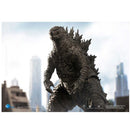 Godzilla vs Kong (Exquisite Basic) Godzilla PX PVC Figure
