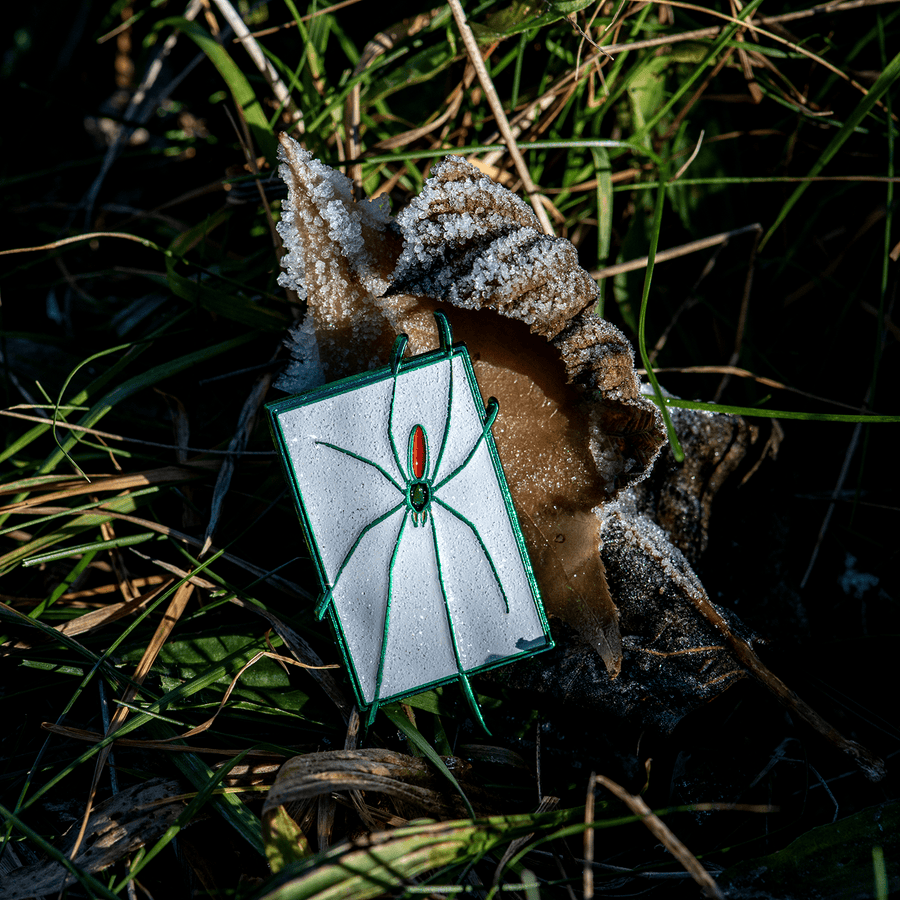 Green Spider in Snow Enamel Pin