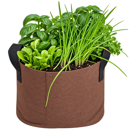GrowBag Garden Lab - Pesto