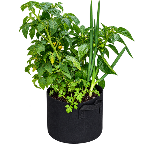 GrowBag Garden Lab - Salsa