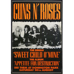 Guns N' Roses Show Poster Print