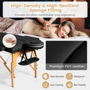 Portable Adjustable Facial Spa Bed with Carry Case