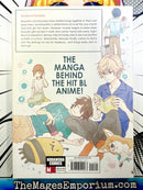Hitorijime My Hero Vol 10