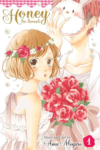 Honey So Sweet Vol 1 Ex Library