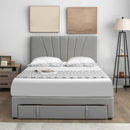 Full/Queen Size Upholstered Bed Frame with Drawer and Adjustable Headboard