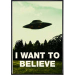 X-Files "I Want To Believe" Poster Print