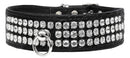 Dog, Puppy & Pet Designer Croc Collar, "#73 Style"