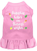 Pet Dog & Cat Dress Screen Printed, "Pumpkin Kisses and Harvest Wishes"