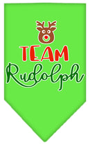 Christmas Pet and Dog Bandana Screen Printed, "Team Rudolph"