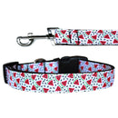 Pet Dog & Cat Nylon Collar or Leash, "Watermelon"