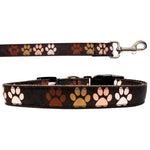 Pet Dog & Cat Nylon Collar or Leash, "Solidarity Paws"