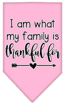 Pet and Dog Bandana Screen Printed, "I Am What My Family Is Thankful For"