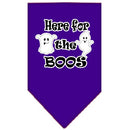 Halloween Pet and Dog Bandana Screen Printed, "Here For The Boos"