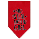 Pet and Dog Bandana Screen Printed, "Mr. Steal Your Girl"