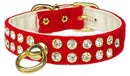 Dog, Puppy and Pet Collar, "#31 Crystal Velvet"