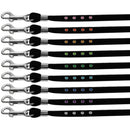 Dog, Puppy & Pet Leash, "Black Velvet Jeweled"