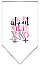 Pet and Dog Bandana Screen Printed, "It's All About That XOXO"