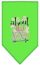 Pet and Dog Bandana Screen Printed, "It's All About That XOXO"