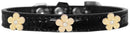 Dog, Puppy & Pet Designer Croc Widget Collar, "Gold Flowers"