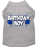 Pet Dog & Cat Shirt Screen Printed, "Birthday Boy"