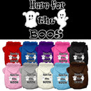 Halloween Pet, Dog & Cat Hoodie Screen Printed, "Here For The Boos"