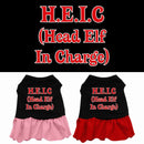 Christmas Pet Dog & Cat Dress Screen Printed, "Head Elf In Charge"