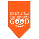Pet and Dog Bandana Screen Printed, "I Solemnly Swear That I Am Up To No Good"