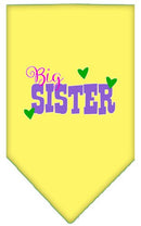 Pet and Dog Bandana Screen Printed, "Big Sister"