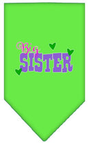Pet and Dog Bandana Screen Printed, "Big Sister"