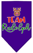 Christmas Pet and Dog Bandana Screen Printed, "Team Rudolph"
