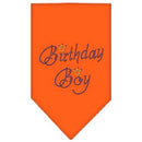Pet and Dog Bandana Rhinestone, "Birthday Boy"