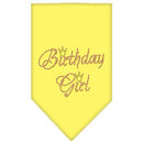 Pet and Dog Bandana Rhinestone, "Birthday Girl"