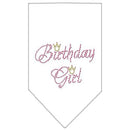 Pet and Dog Bandana Rhinestone, "Birthday Girl"